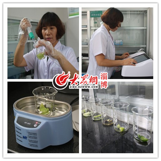 <a href='/2015/0625/c4959a231609/page.htm' target='_blank' title='【大众网】淄博食药监走进学校“后厨” 一日三餐可溯源'>【大众网】淄博食药监走进学校“后厨” 一日三餐可溯源</a>